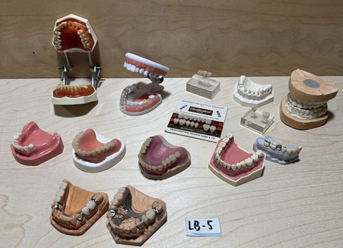 Dental schaumodelle aus - dental,